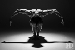 Naked-Eagle