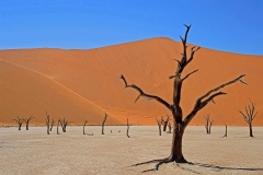06-Death-Vlei