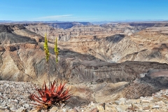 Dorscheid_Michael_Fishriver_Canyon